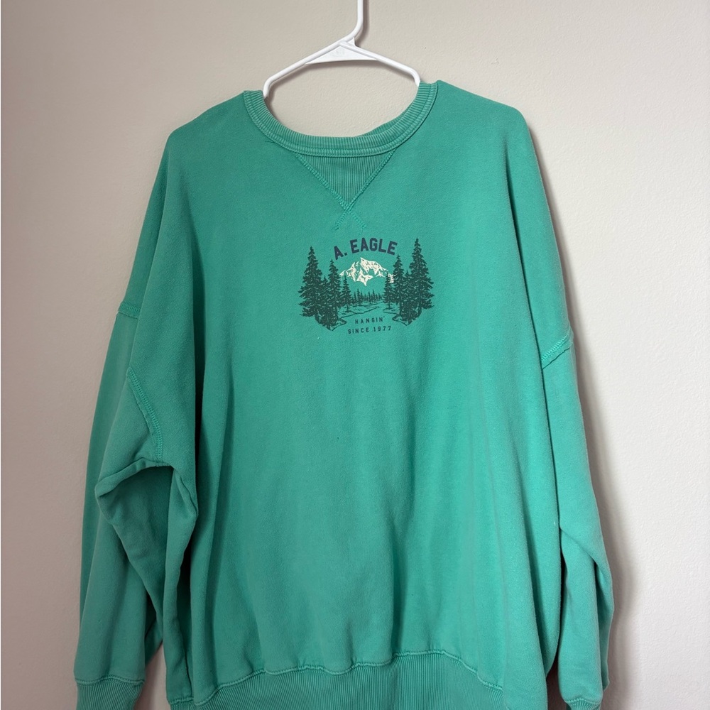 American Eagle Outfitters Green Crew Neck Sweater